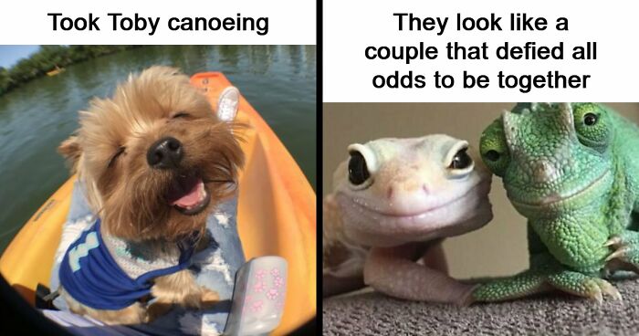53 Wholesome Posts And Memes To Show You A Different Side Of The Internet