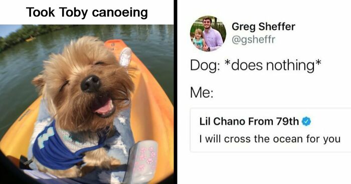 53 Wholesome Posts And Memes To Show You A Different Side Of The Internet