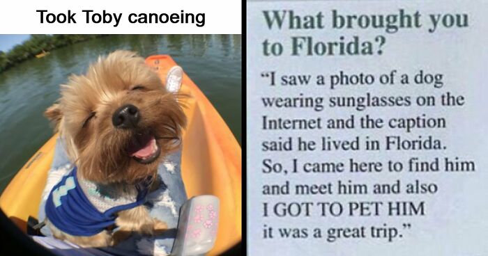 53 Wholesome Posts And Memes To Show You A Different Side Of The Internet