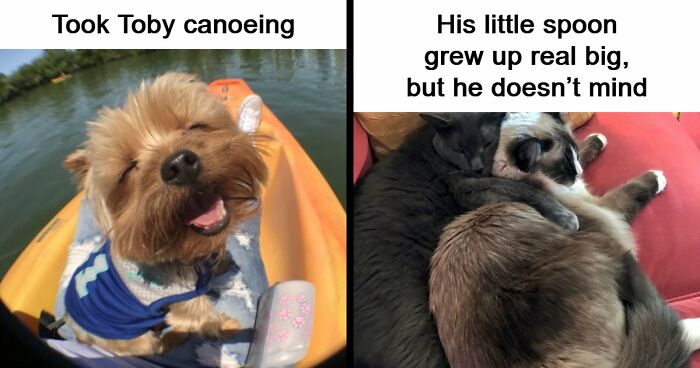 53 Wholesome Posts And Memes To Show You A Different Side Of The Internet