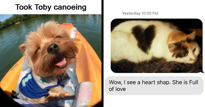 53 Wholesome Posts And Memes To Show You A Different Side Of The Internet