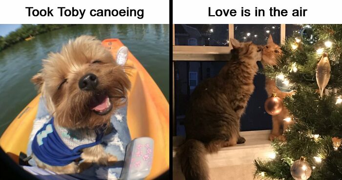53 Wholesome Posts And Memes To Show You A Different Side Of The Internet