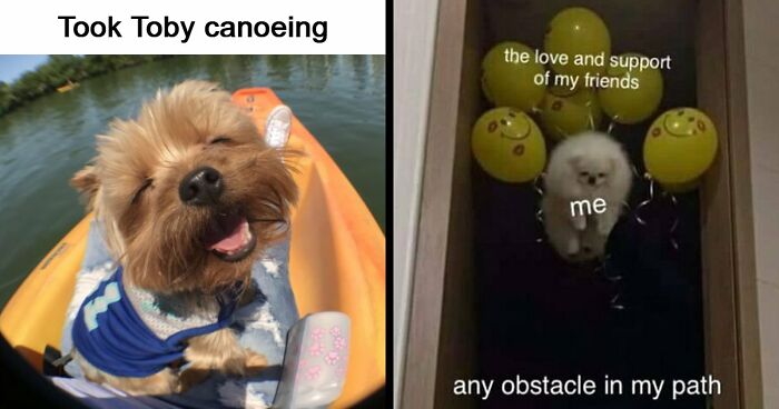 53 Wholesome Posts And Memes To Show You A Different Side Of The Internet