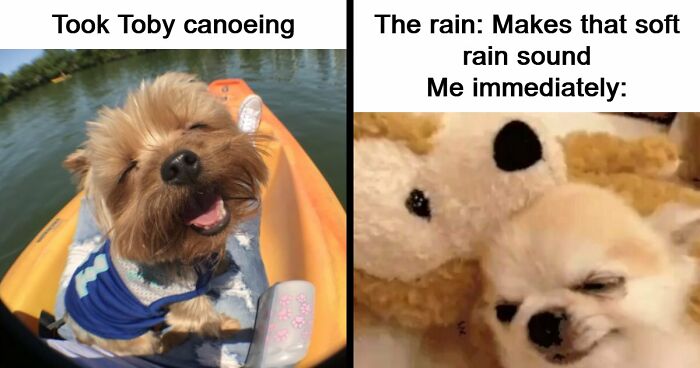 53 Wholesome Posts And Memes To Show You A Different Side Of The Internet