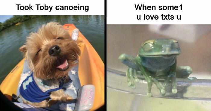 53 Wholesome Posts And Memes To Show You A Different Side Of The Internet