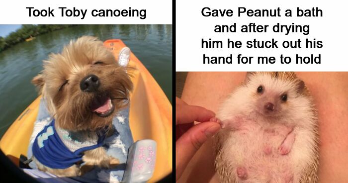 53 Wholesome Posts And Memes To Show You A Different Side Of The Internet