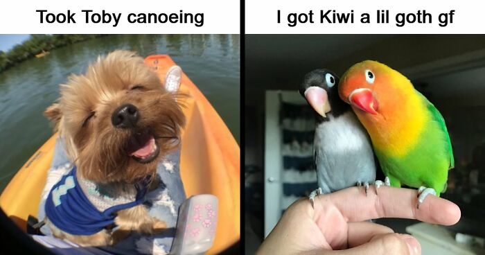 53 Wholesome Posts And Memes To Show You A Different Side Of The Internet