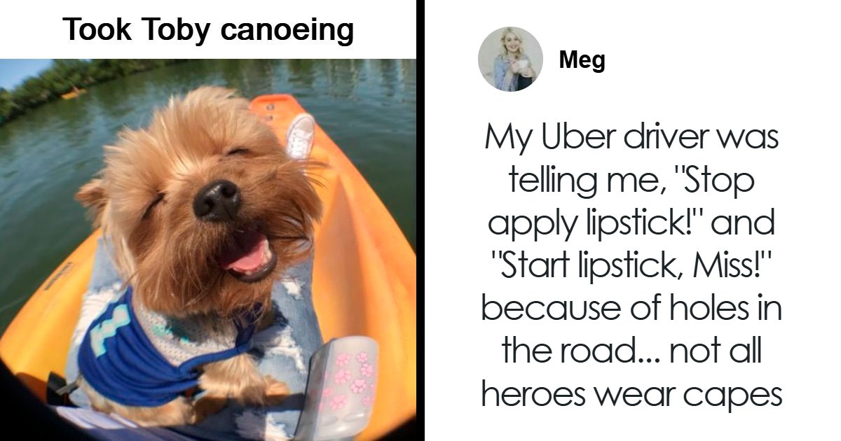 53 Wholesome Internet Finds That Might Just Lift Your Mood