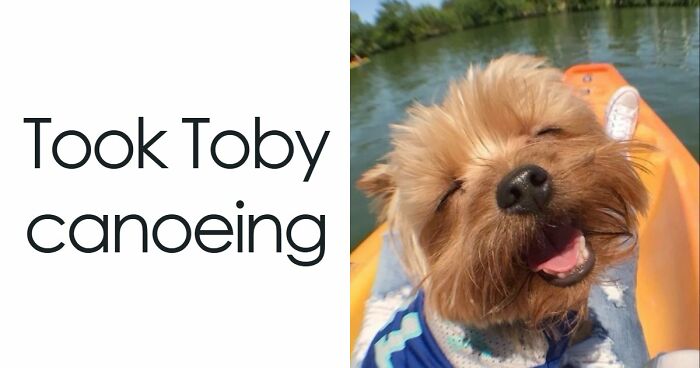 53 Wholesome Posts And Memes To Show You A Different Side Of The Internet