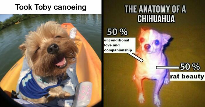 53 Wholesome Posts And Memes To Show You A Different Side Of The Internet
