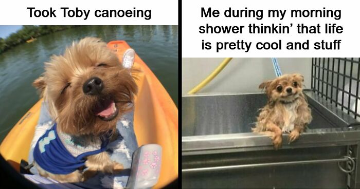 53 Wholesome Posts And Memes To Show You A Different Side Of The Internet
