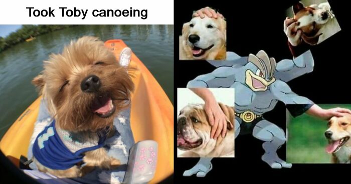 53 Wholesome Posts And Memes To Show You A Different Side Of The Internet