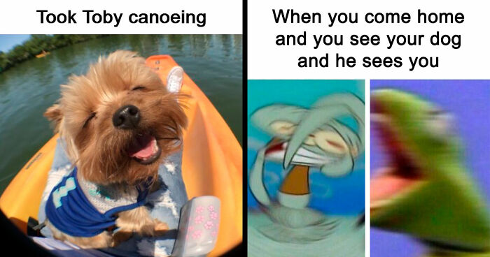 53 Wholesome Posts And Memes To Show You A Different Side Of The Internet