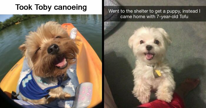 53 Wholesome Posts And Memes To Show You A Different Side Of The Internet