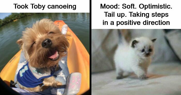 53 Wholesome Posts And Memes To Show You A Different Side Of The Internet