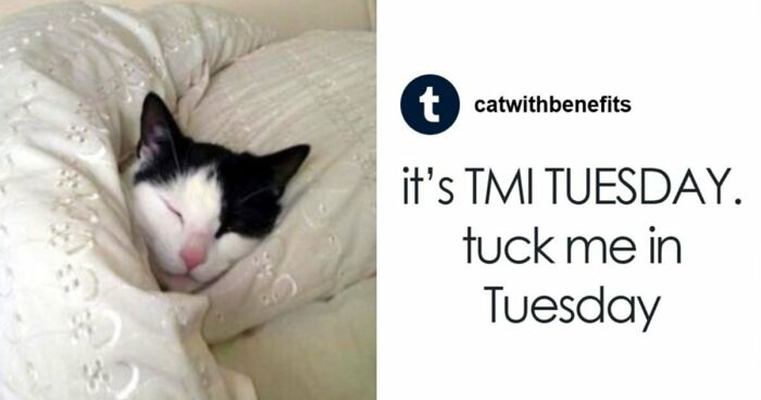 53 Wholesome Posts And Memes To Show You A Different Side Of The Internet