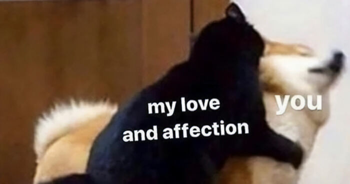 53 Wholesome Posts And Memes To Show You A Different Side Of The Internet