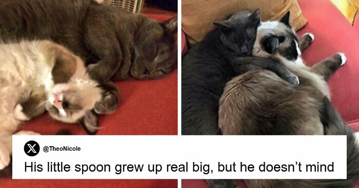 53 Wholesome Posts And Memes To Show You A Different Side Of The Internet