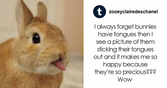 53 Wholesome Posts And Memes To Show You A Different Side Of The Internet