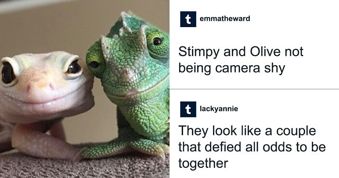 53 Wholesome Posts And Memes To Show You A Different Side Of The Internet