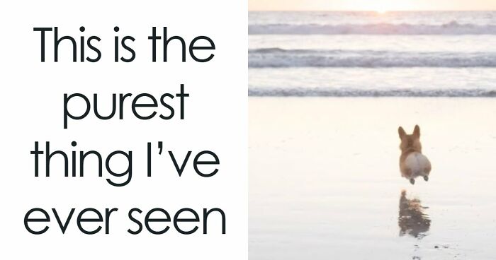 53 Wholesome Posts And Memes To Show You A Different Side Of The Internet