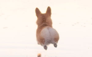 53 Wholesome Internet Finds That Might Just Lift Your Mood