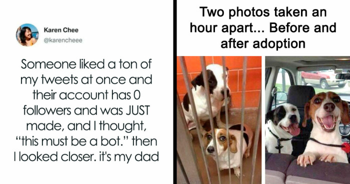 You Might Want To Prepare Tissues Before Reading These 53 Incredibly Wholesome Stories