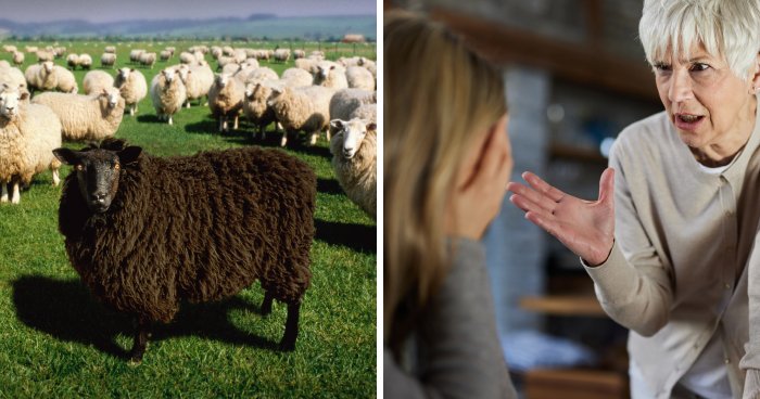 Black Sheep of the Family: Why You Were Chosen and How to Thrive