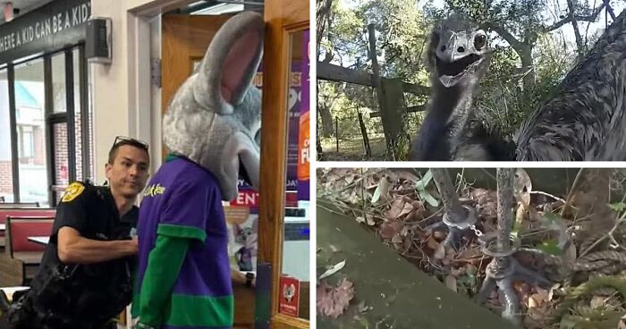 “I Knew Something Was Wrong”: 45 Times People Gut Warned Them About Something Horrible