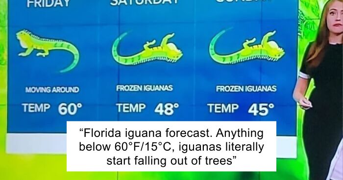 “I Knew Something Was Wrong”: 45 Times People Gut Warned Them About Something Horrible