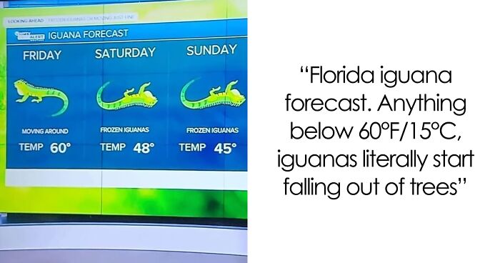 “I Knew Something Was Wrong”: 45 Times People Gut Warned Them About Something Horrible