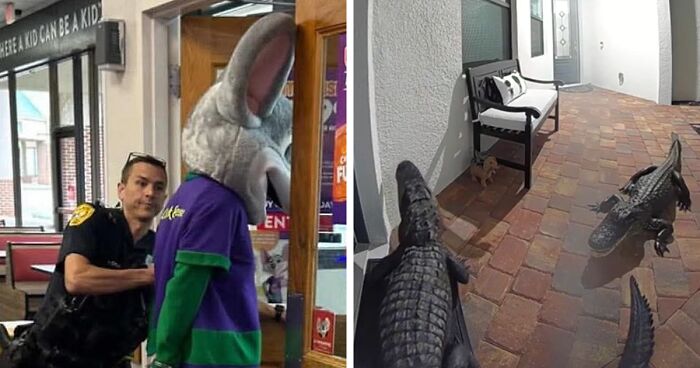 “I Knew Something Was Wrong”: 45 Times People Gut Warned Them About Something Horrible