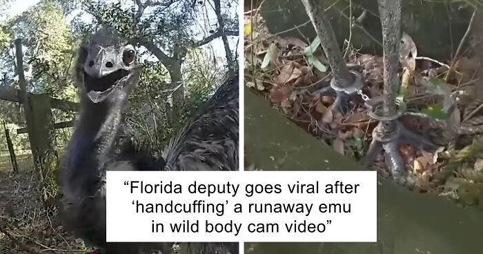 “I Knew Something Was Wrong”: 45 Times People Gut Warned Them About Something Horrible