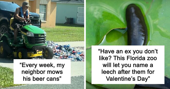 53 Peak Floridian Moments That Show The Weird Side Of The Sunshine State (New Pics)