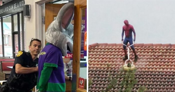 53 Peak Floridian Moments That Show The Weird Side Of The Sunshine State (New Pics)