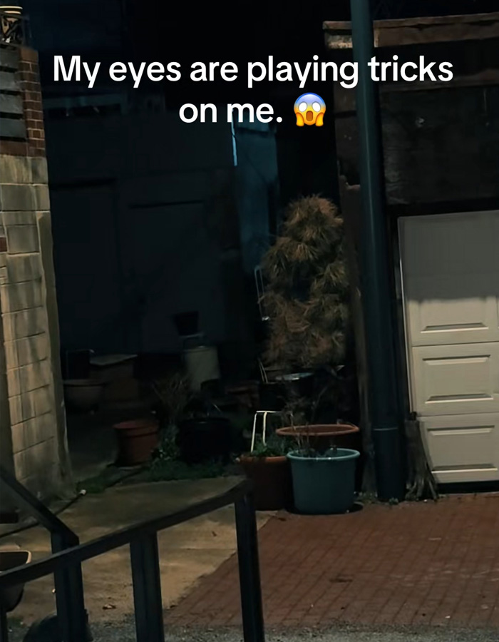 A dark DC back alley at night shows a "figure" made of hay-like material next to a white garage door, stirring views.
