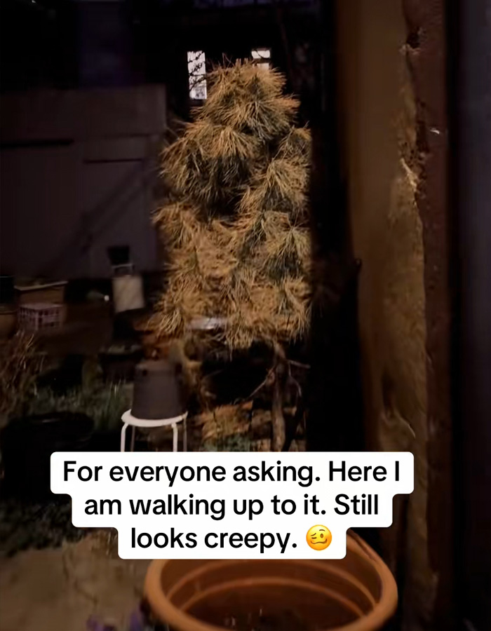 A video showing a figure lurking in a DC back alley at night, appearing as a creepy, bush-like shape.