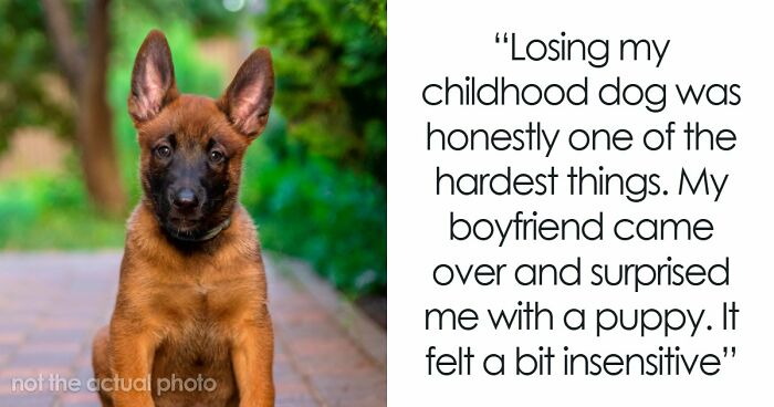 20 Times Boyfriends And Husbands Were Being So Mean, Inconsiderate And Dumb, Women Had To Vent Online (April Edition)