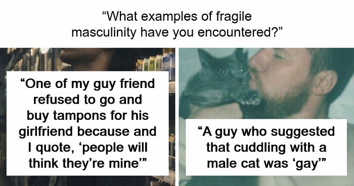 51 Absurd Examples Of Fragile Masculinity That People Didn’t Know Could Exist