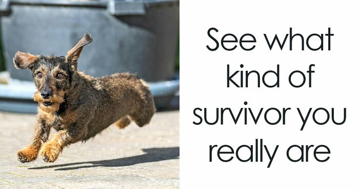 “Will You Outlast Disaster?”: 20 Questions That Reveal If You’d Actually Survive