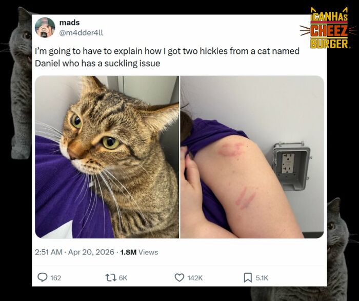 41 Cat Posts Shared By This Page That Are Funny, Sweet, And Spot On
