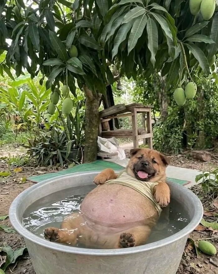 These Important Animal Pics Are Here To Make Your Day A Little Better (37 New Pics)