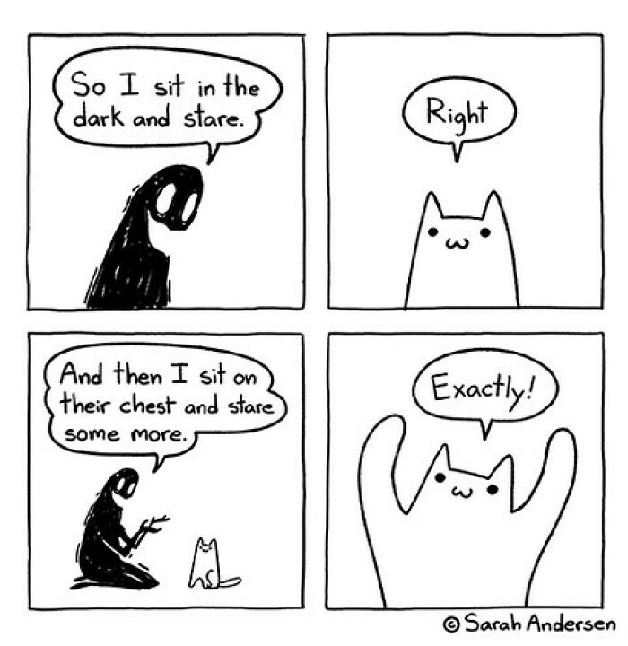 The Best Of