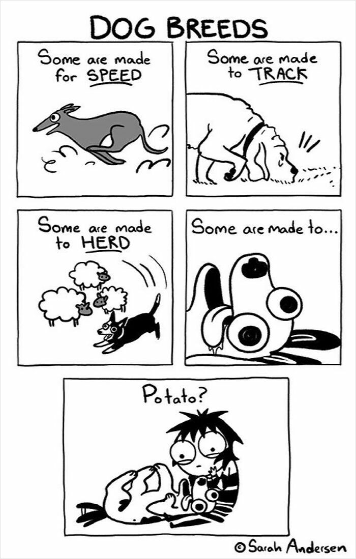 The Best Of
