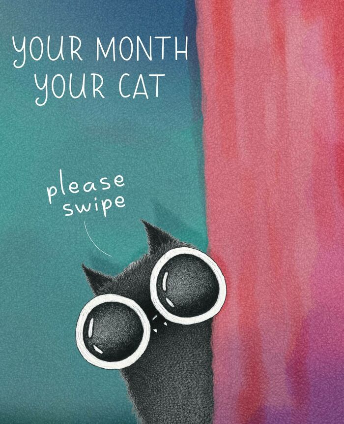 Cat Illustrations Luis Coelho