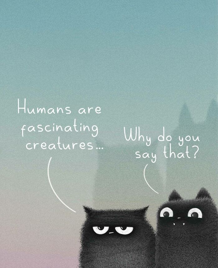 Cat Illustrations Luis Coelho