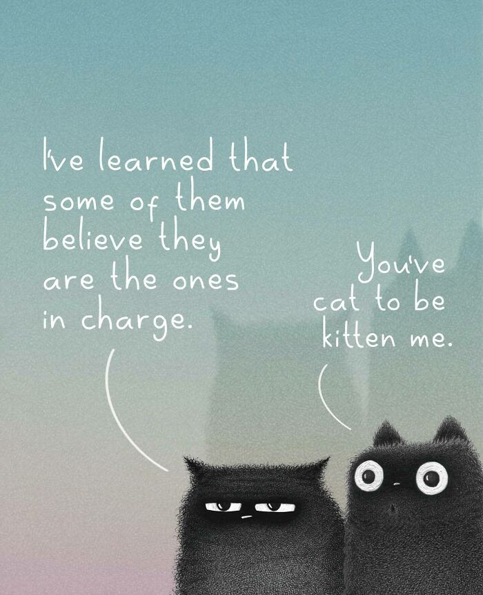 Cat Illustrations Luis Coelho