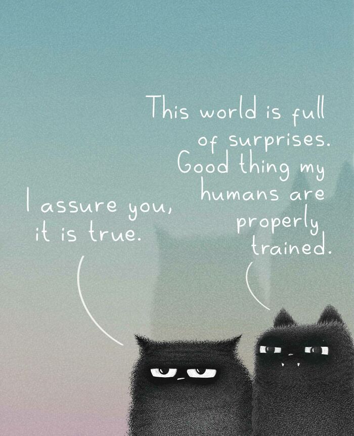 Cat Illustrations Luis Coelho
