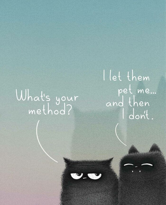 Cat Illustrations Luis Coelho