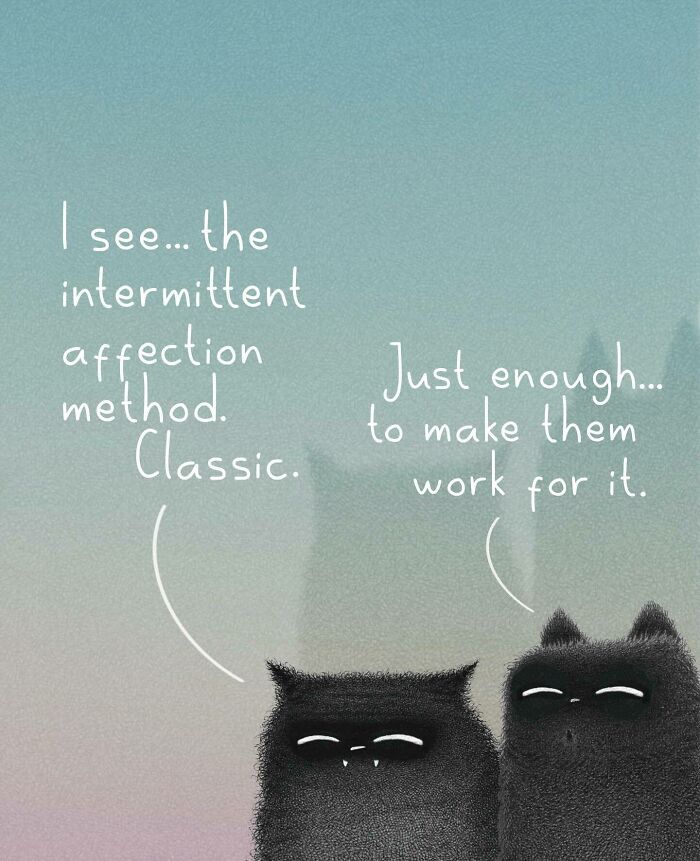 Cat Illustrations Luis Coelho